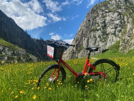 Alpine Mobility