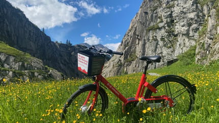 mys-Alpine Mobility-Alpine Mobility