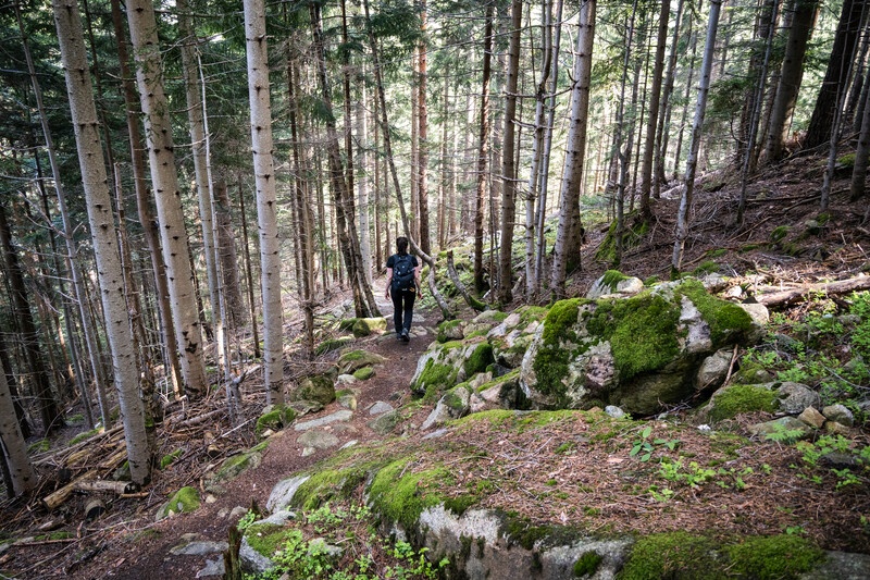 Geissberg