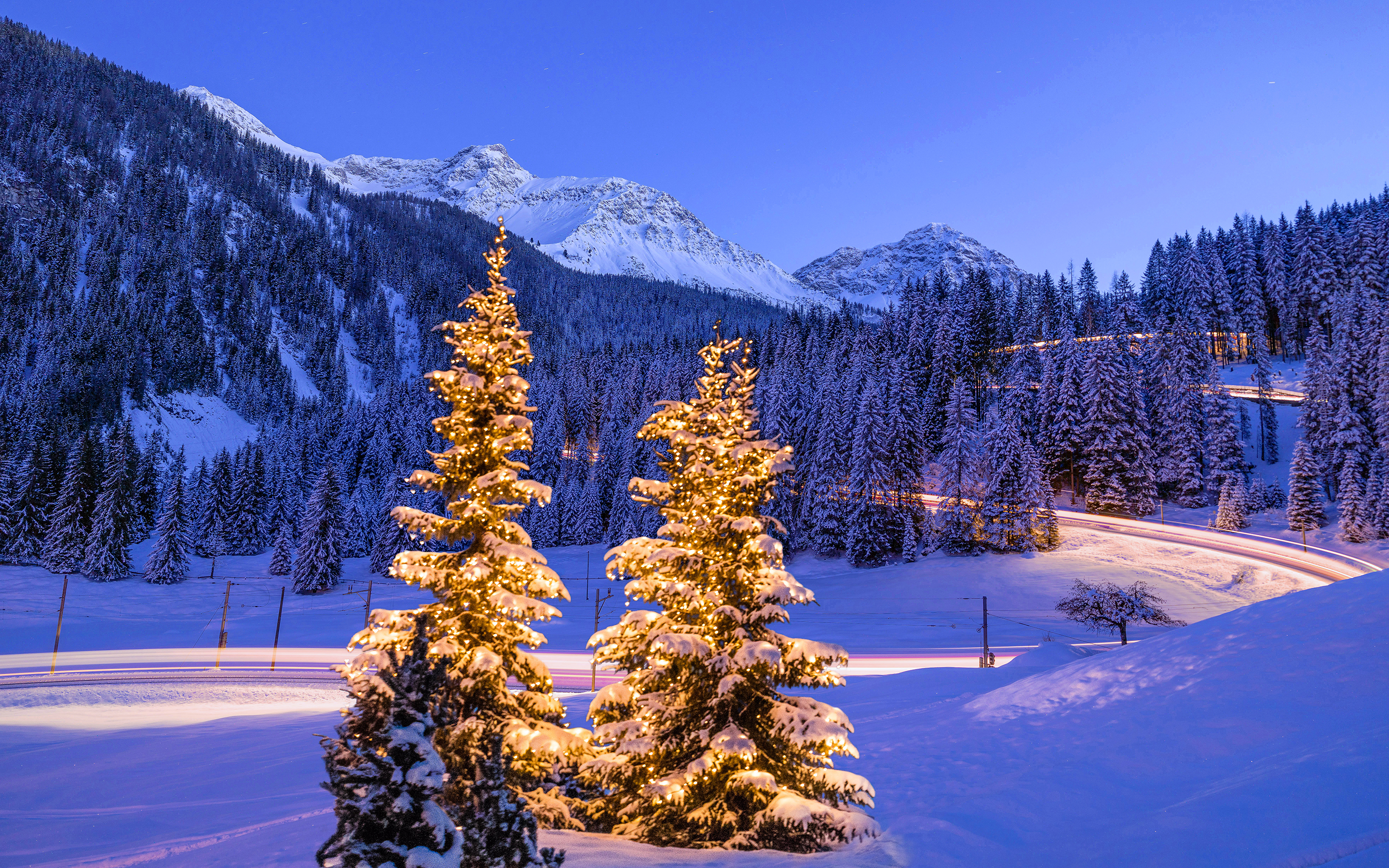 Alberi di Natale a Litzirüthi