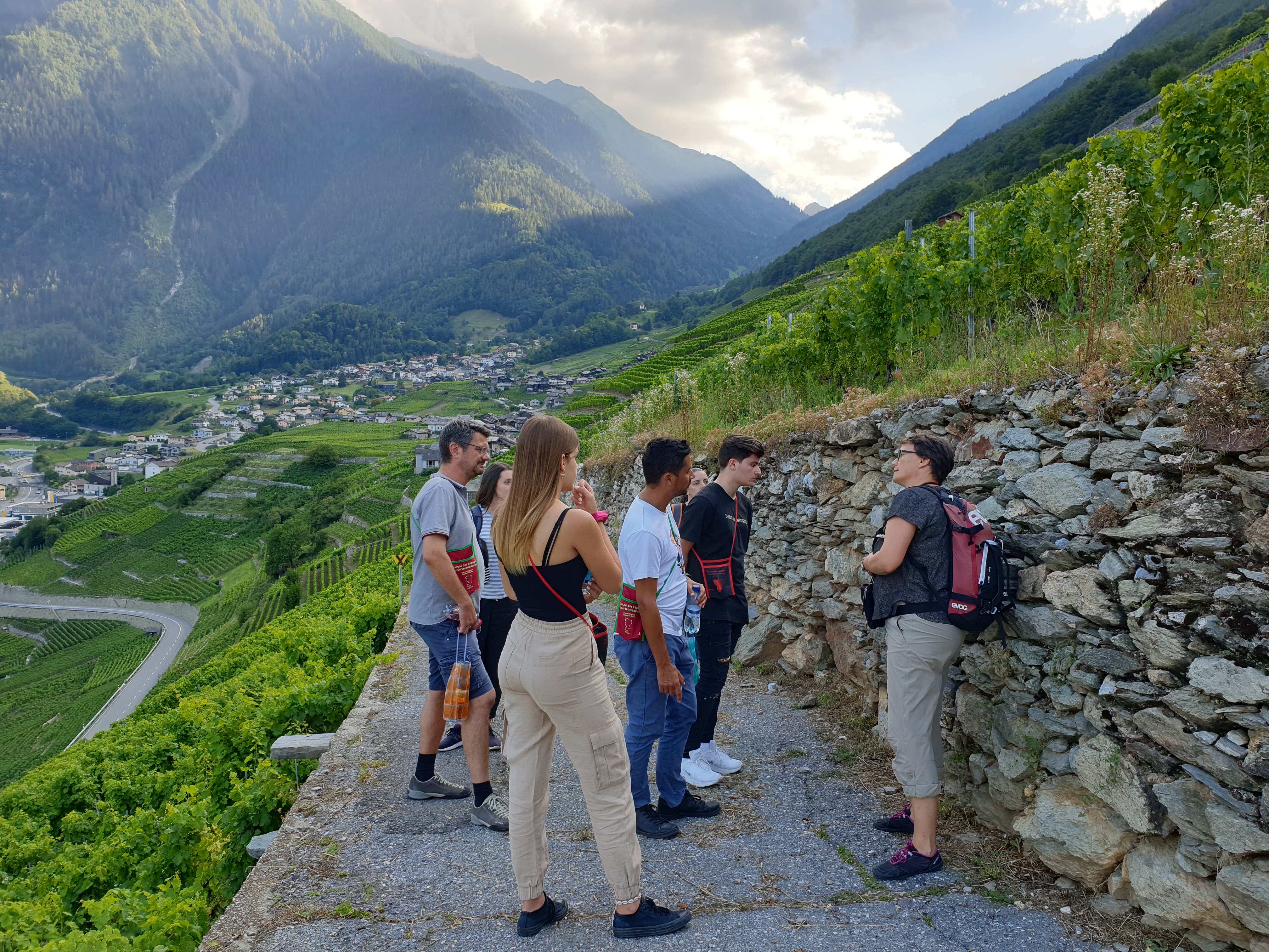 Martigny - Geführte Tour durch den Weinberg
