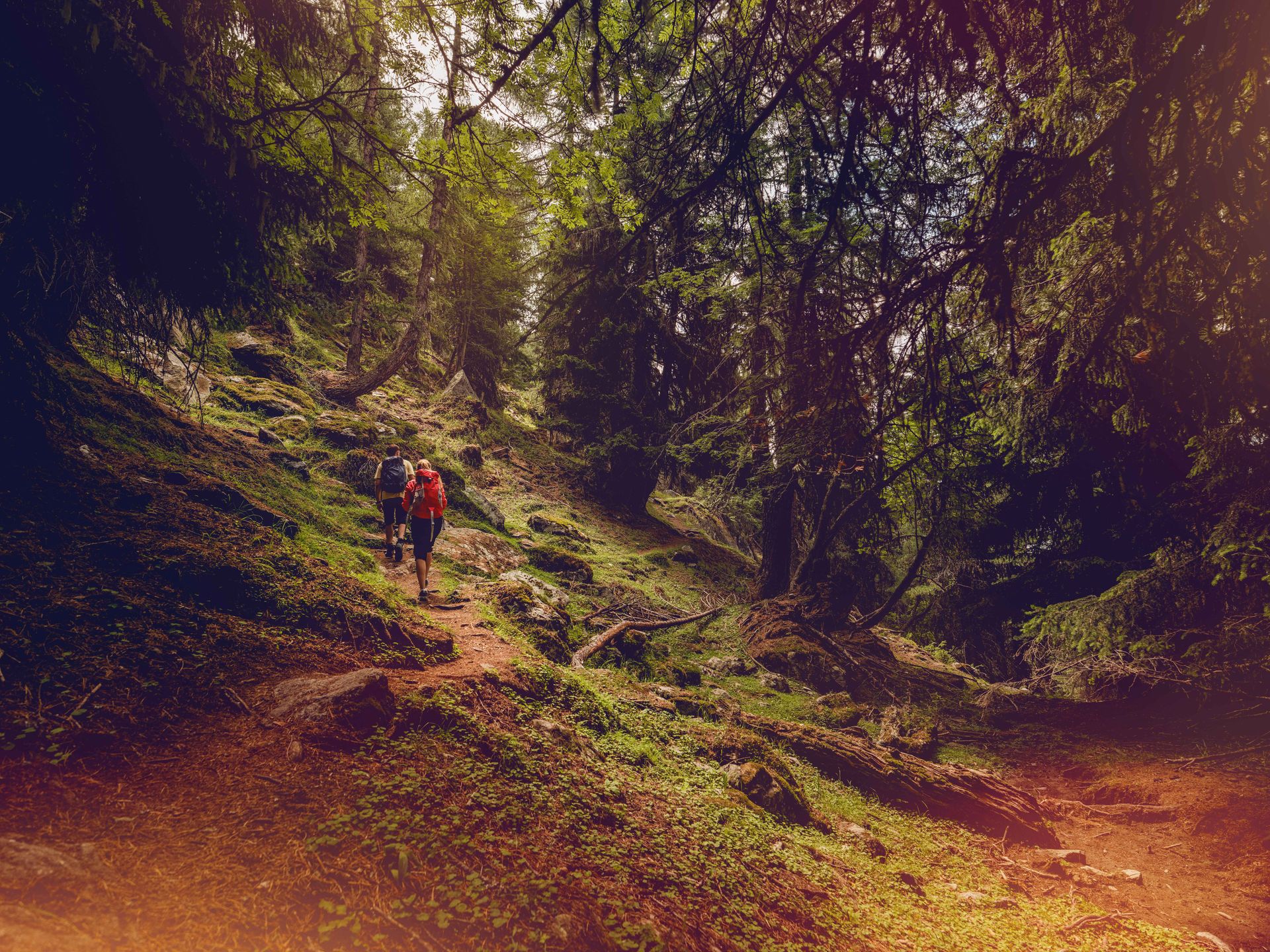 2019 Belalp 69 ©Valais Wallis Promotion - Pascal Gertschen