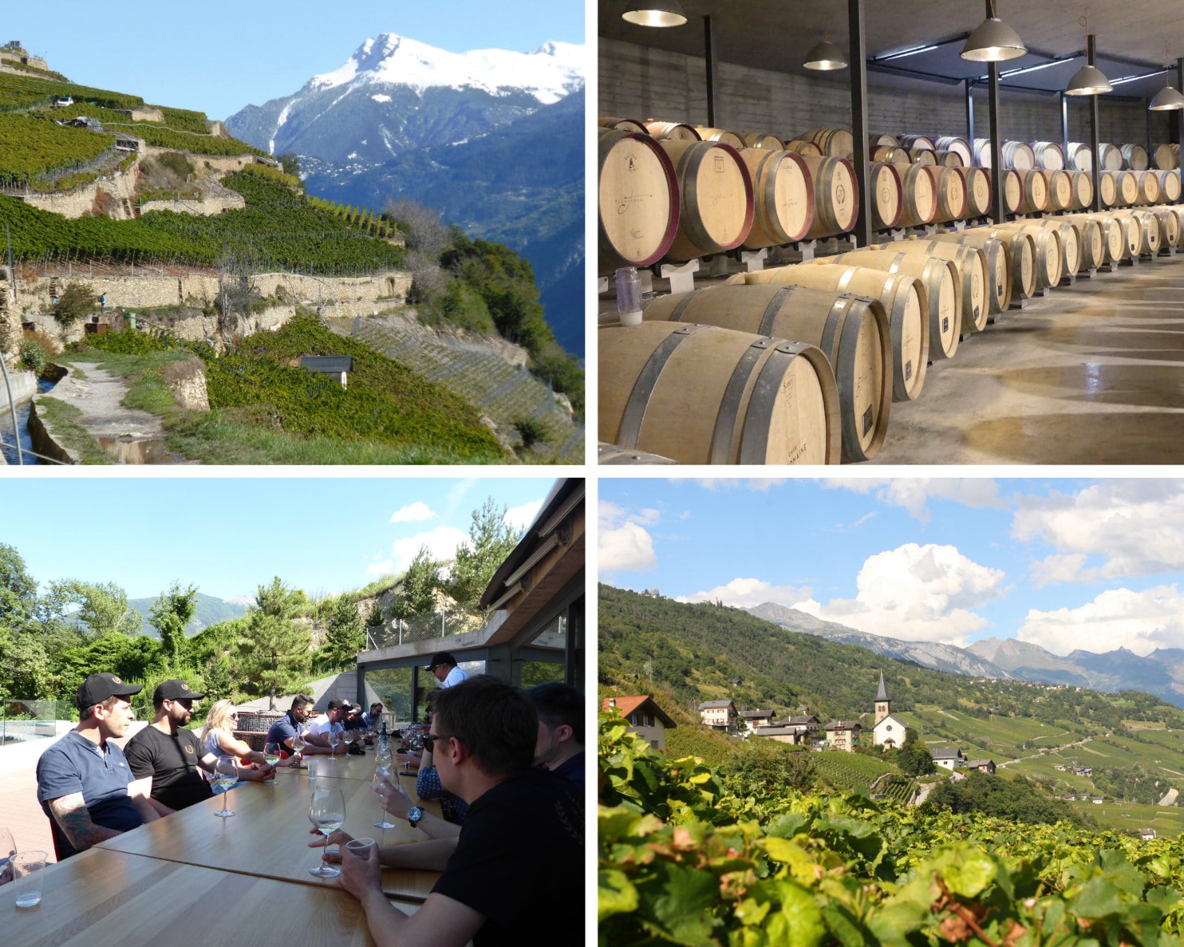 vignoble de Flanthey