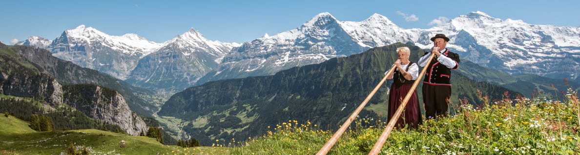 Alphorn players Alphorn players