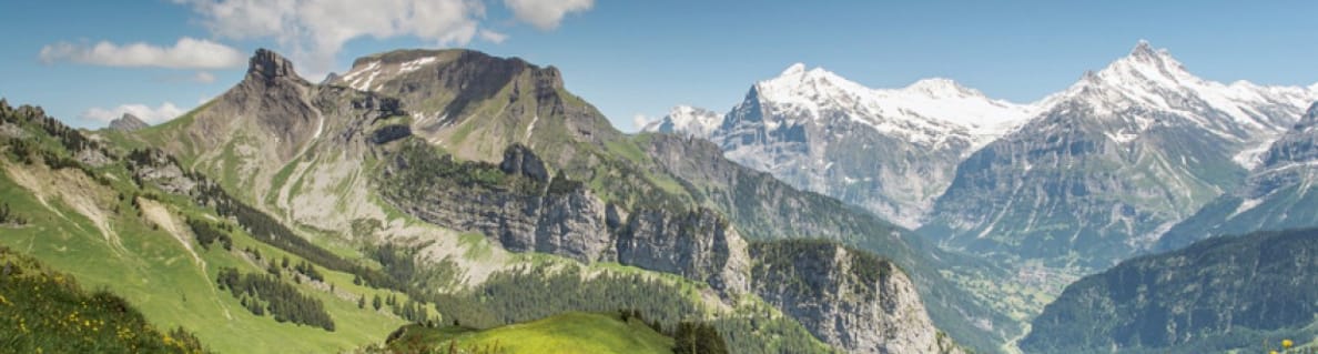 Mountain hike Schynige Platte - First Mountain hike Schynige Platte - First