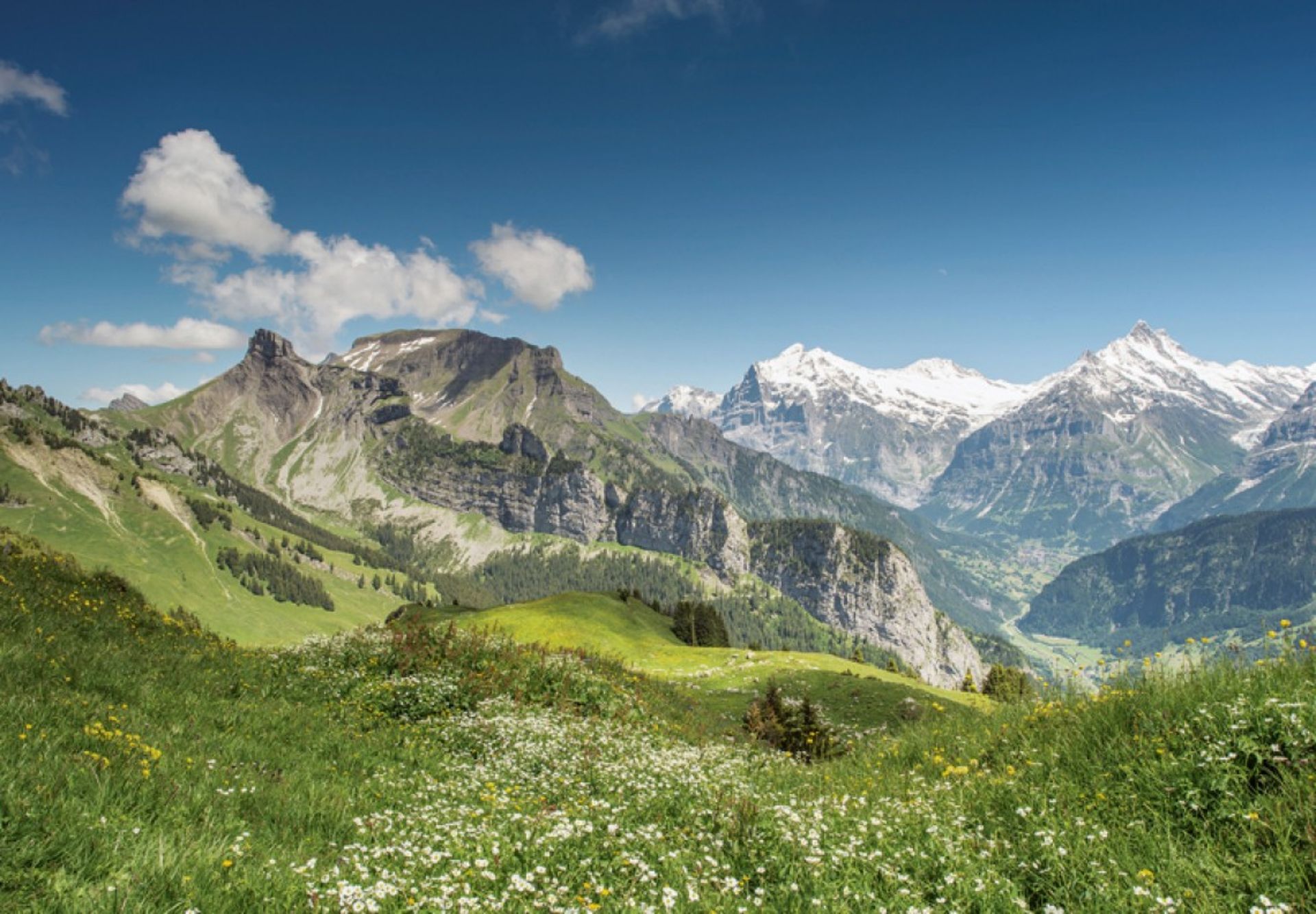 Mountain hike Schynige Platte - First