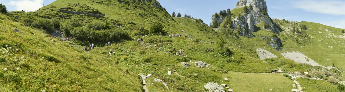 Schynige Platte - Top of Swiss Tradition | Panorama hike Schynige Platte - Top of Swiss Tradition | Panorama hike
