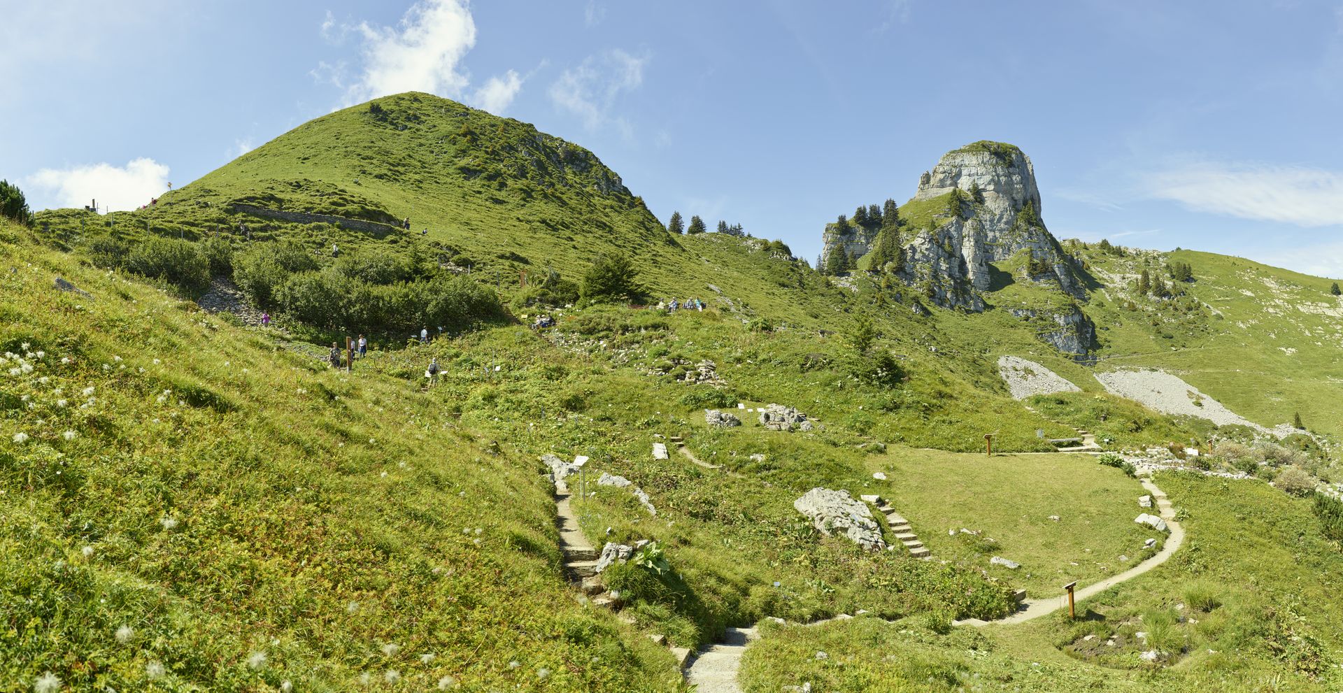 Schynige Platte - Top of Swiss Tradition | Panorama hike