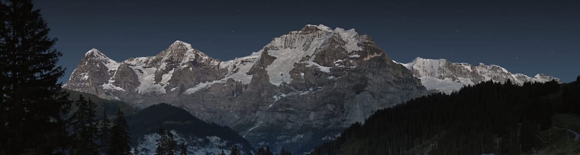 Movie Nights Movie Nights