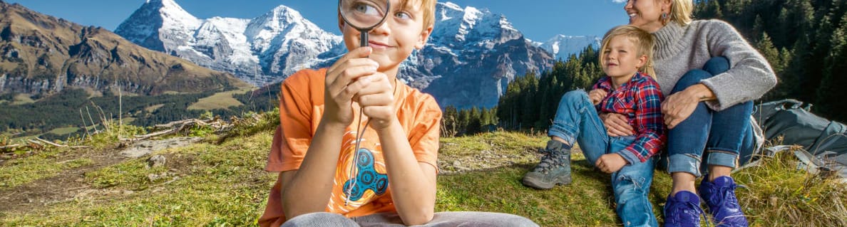 Detective Trail Detective Trail