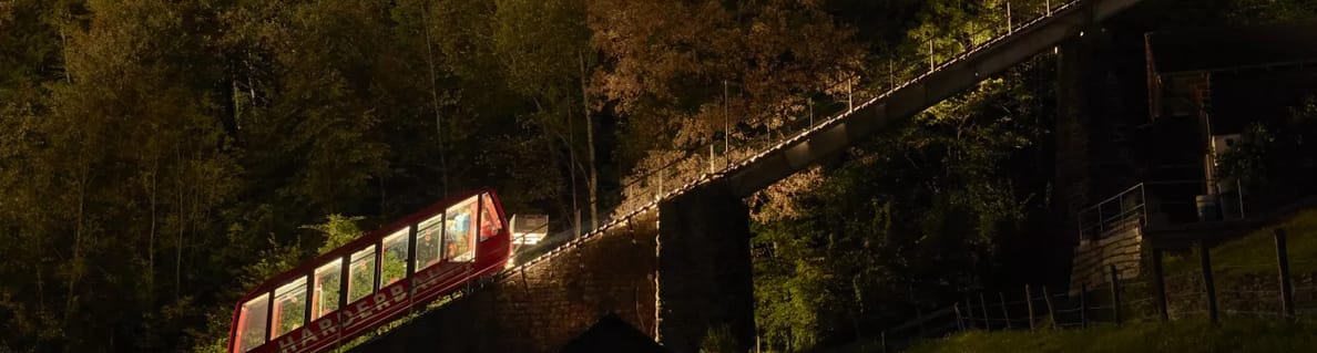 Evening trips Evening trips