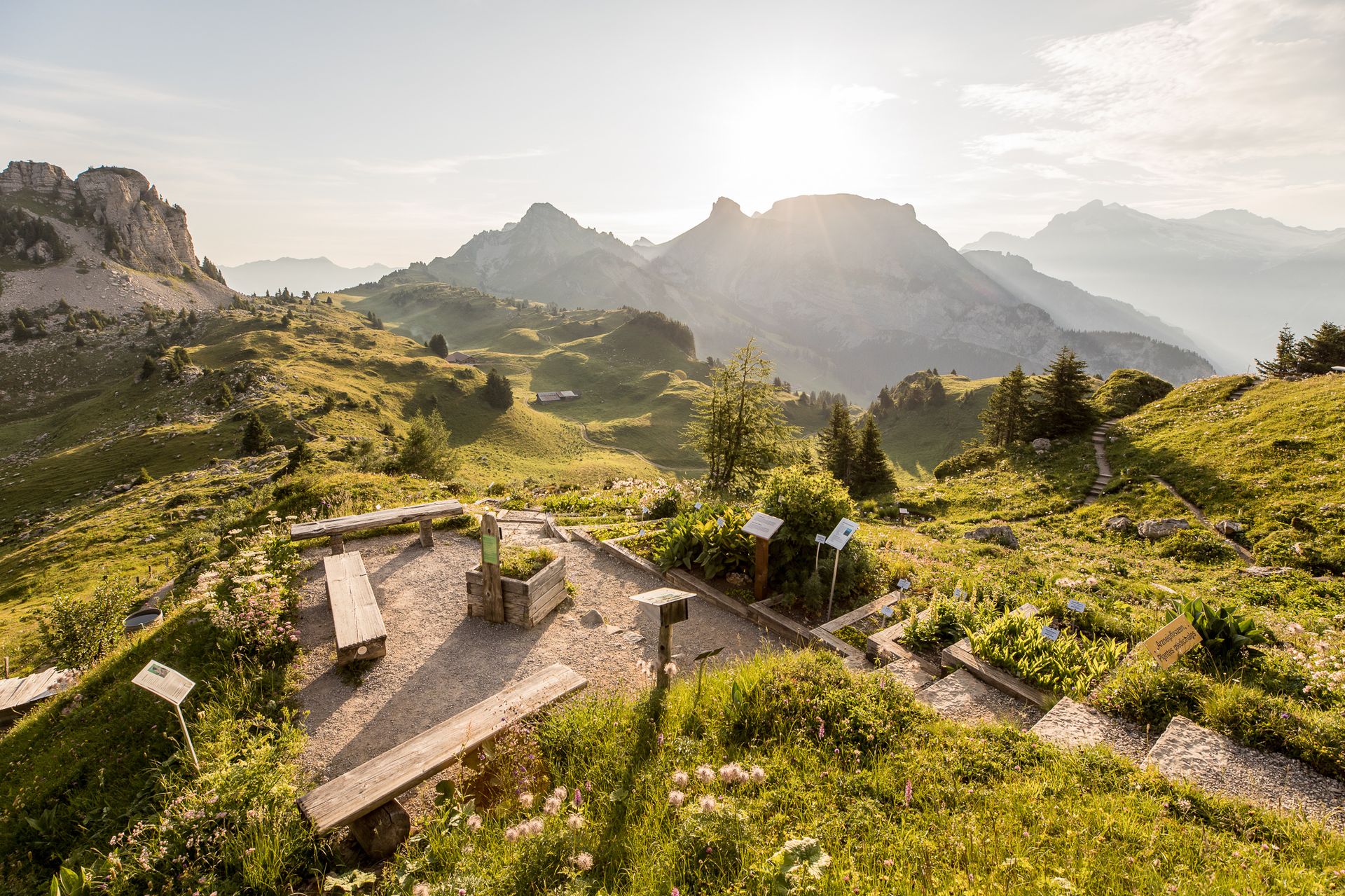 Alpine Garden