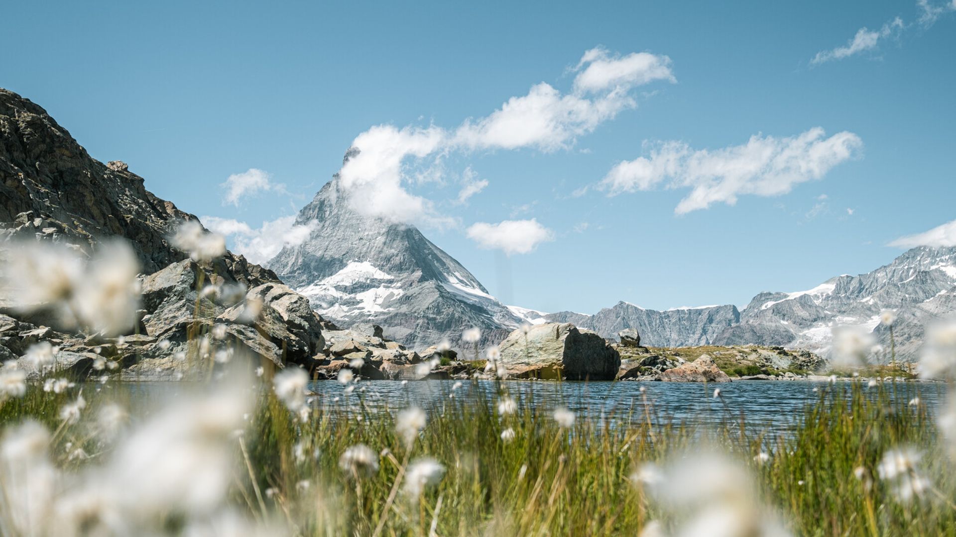 Cotton grass au Riffelsee avec le Cervin en arrière-plan