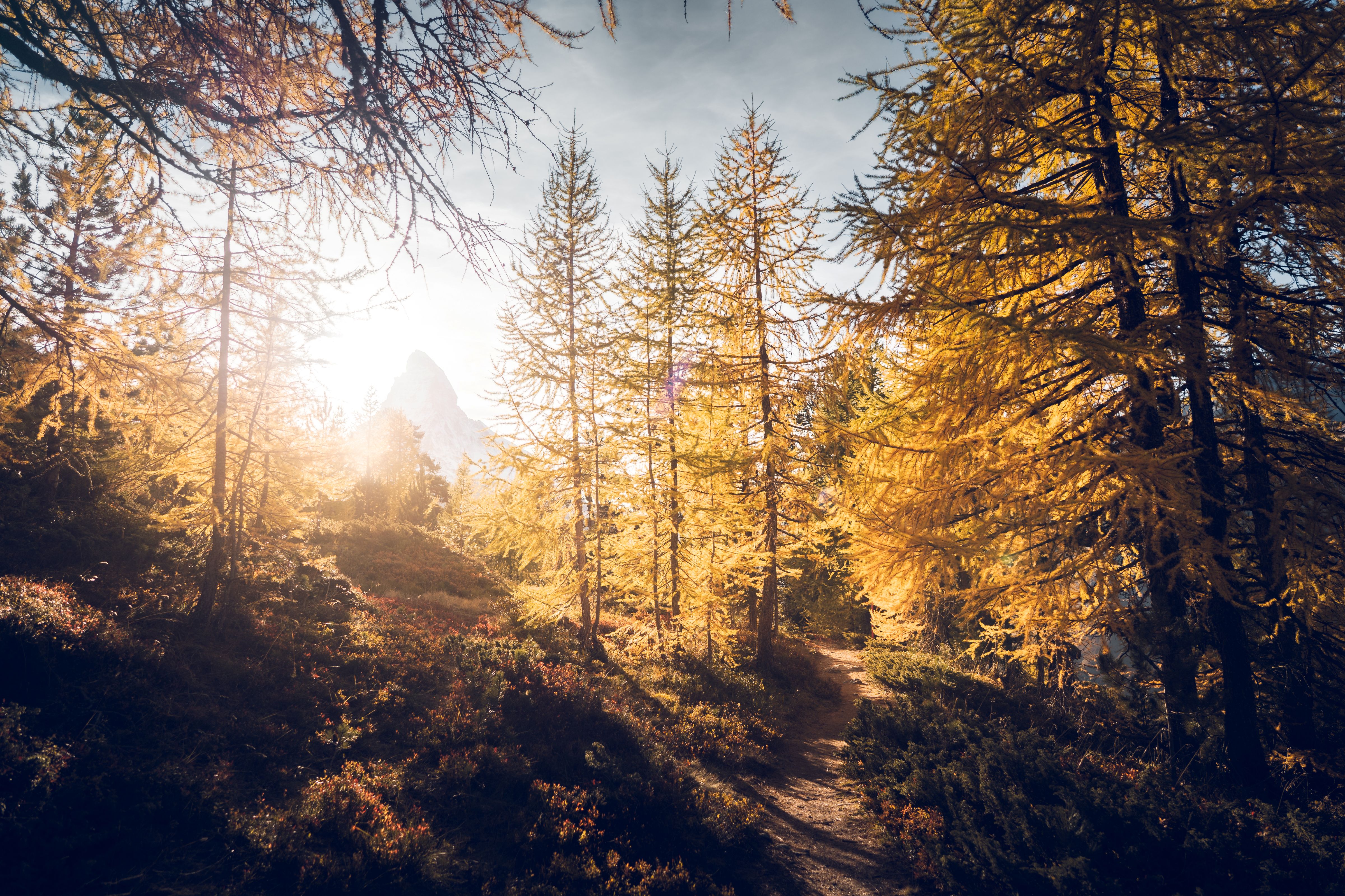 Herbst am Gornergrat