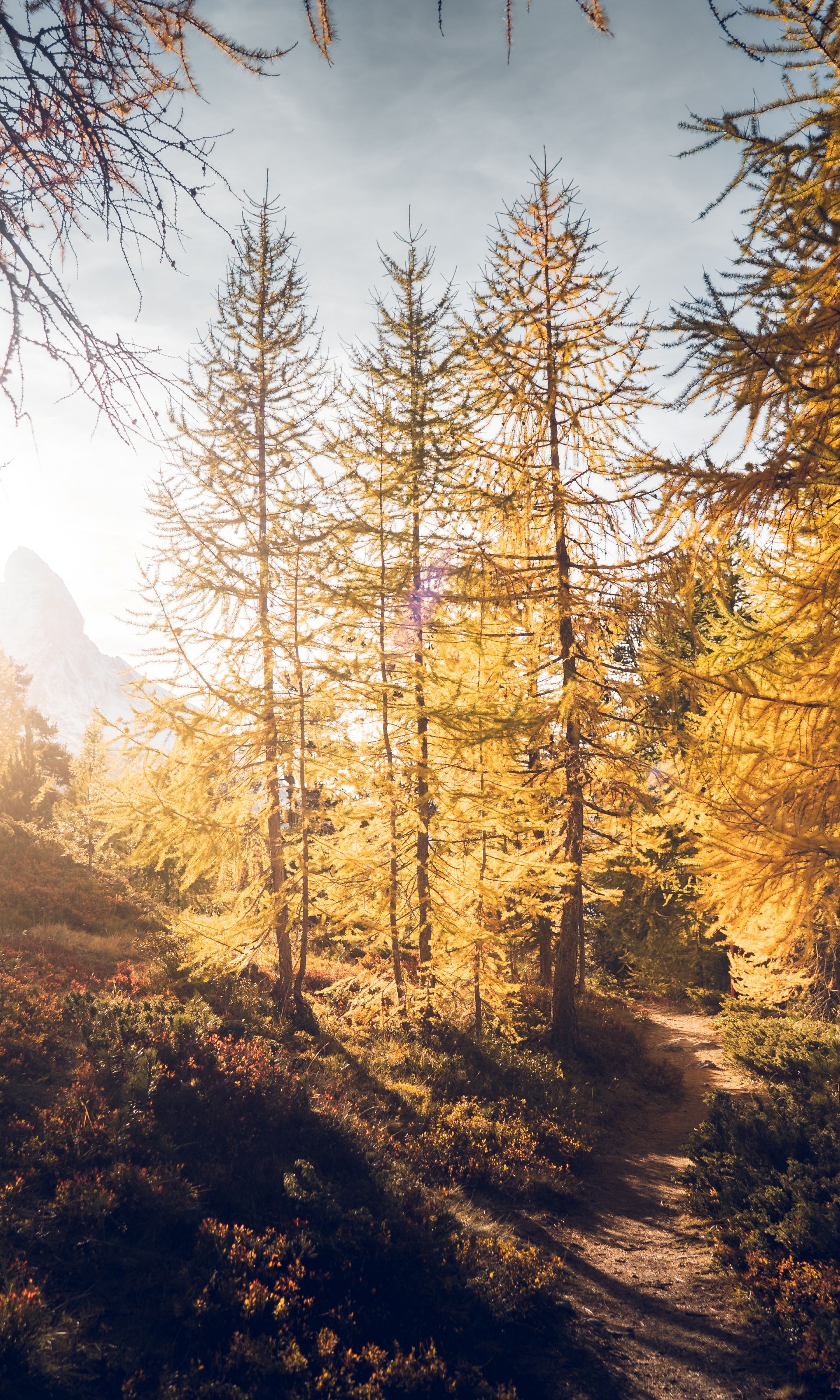 Herbst am Gornergrat