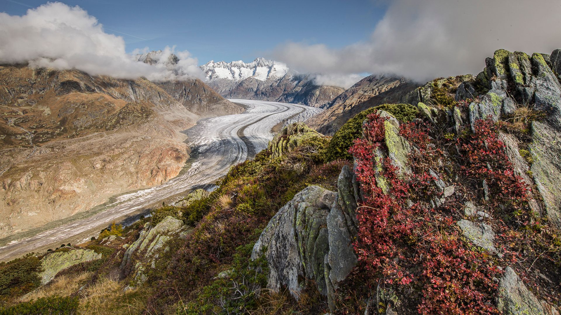 Le glacier d'Aletsch lors d'une journée partiellement ensoleillée. Les couleurs du sol varient entre le vert, le bleu, le brun et le blanc.