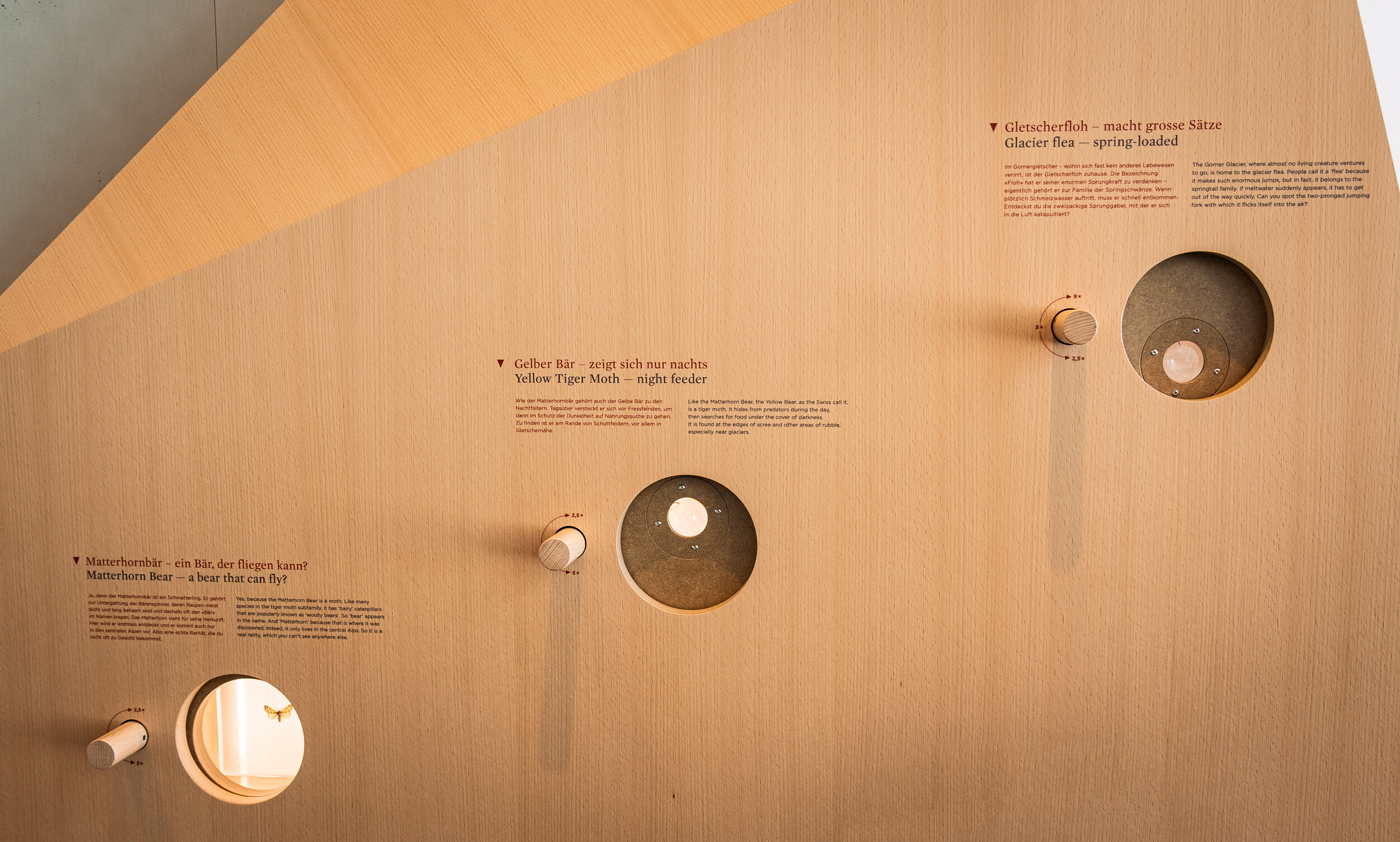 Images au microscope de raretés sur le Gornergrat - Zooom the Matterhorn