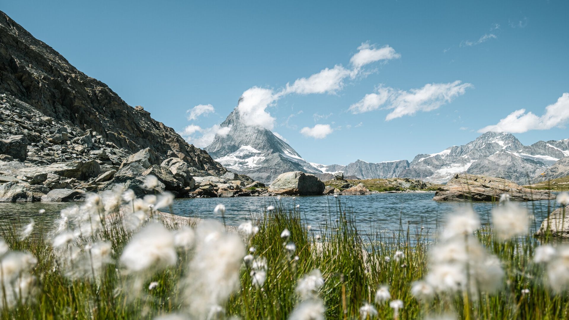 Cotton grass at Riffelsee Lake with Matterhorn in the background