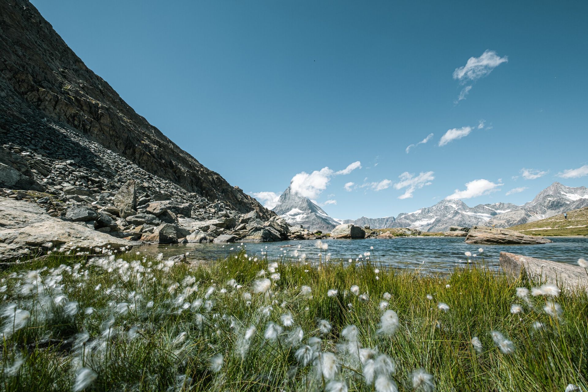 Riffelsee Wollgras Sommer Gornergrat Riffelsee Wollgras Sommer Gornergrat