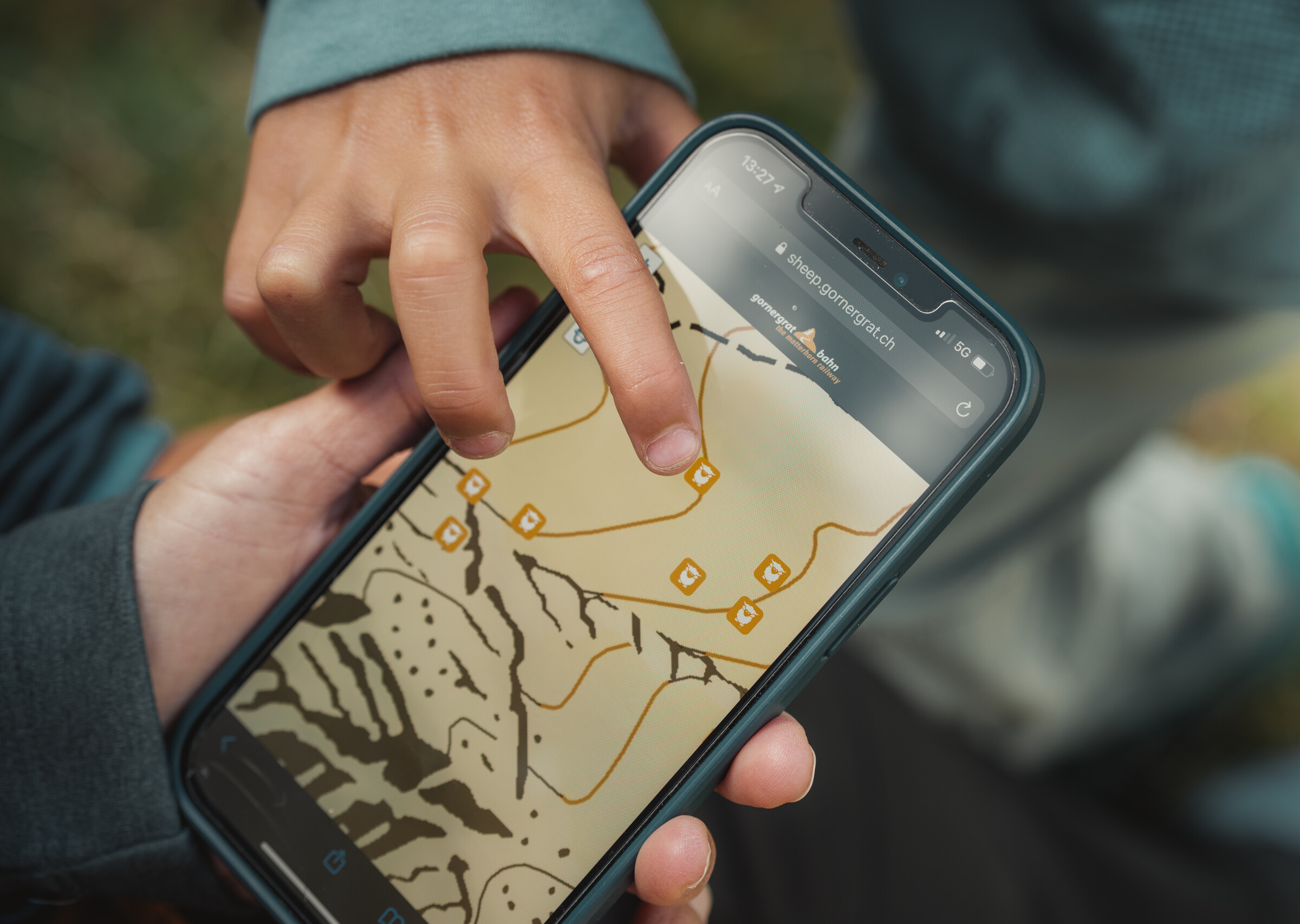 Meet the Sheep - Karte auf dem Handy Meet the Sheep - Karte auf dem Handy