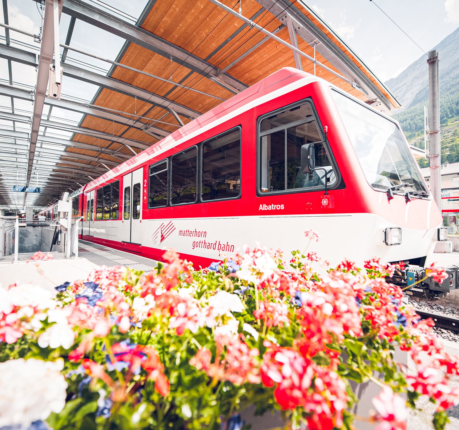 Gare Matterhorn Terminal Täsch Départ d'un train avec des fleurs au premier plan, Valais, Suisse