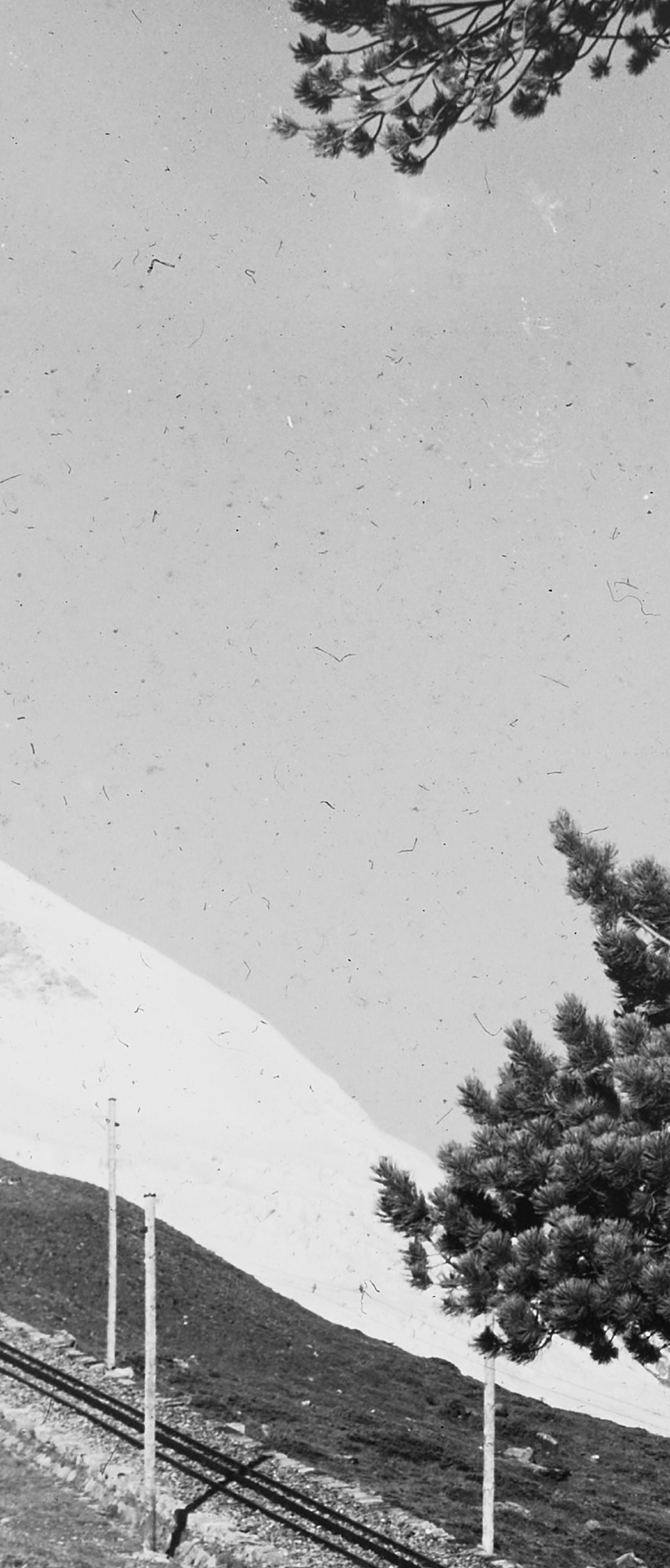 Gornergrat Bahn vor Matterhorn